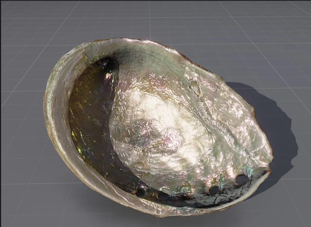 The inside of an abalone shell, its nacre shifting between green, pink and gold
                across the surface.
